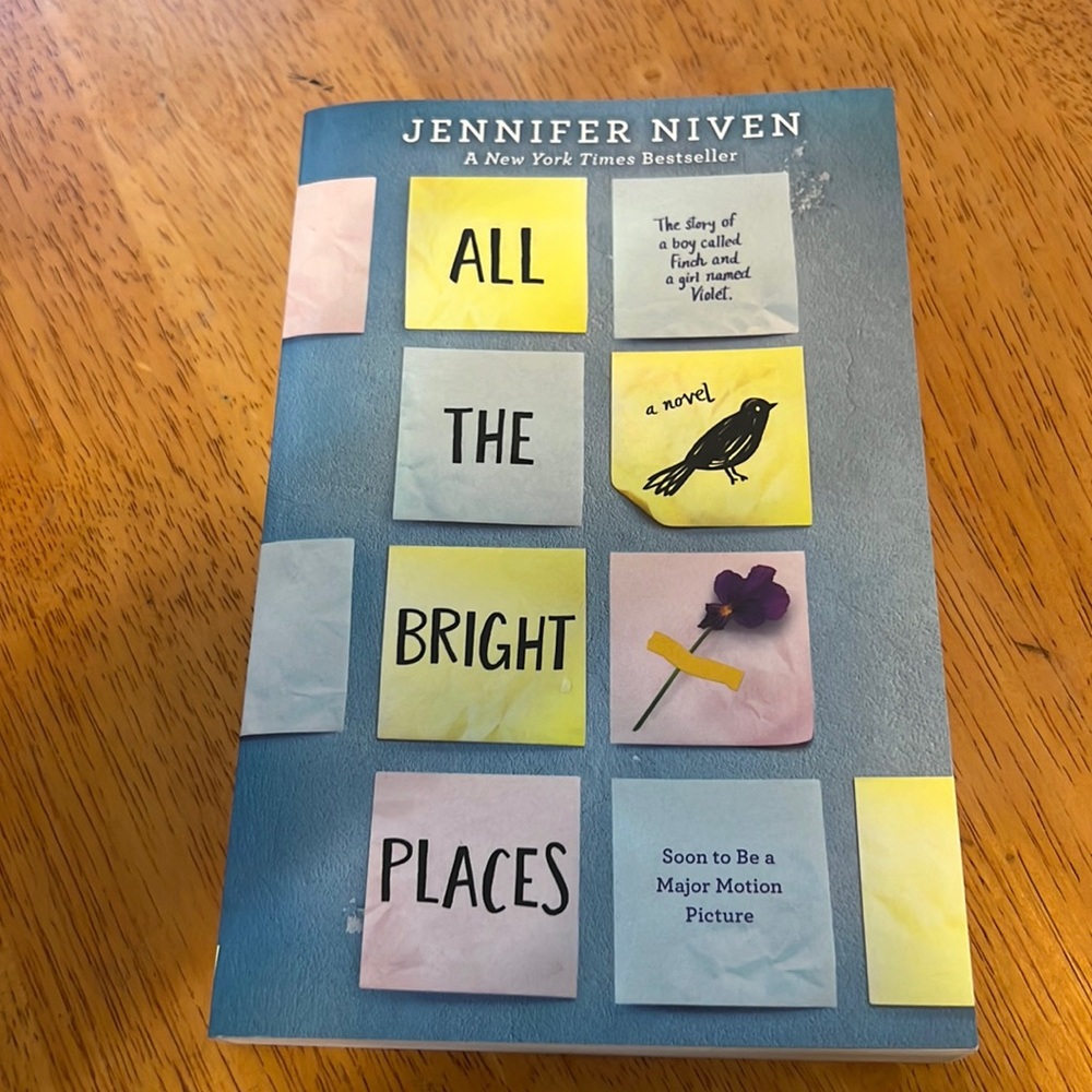All The Bright Places Book